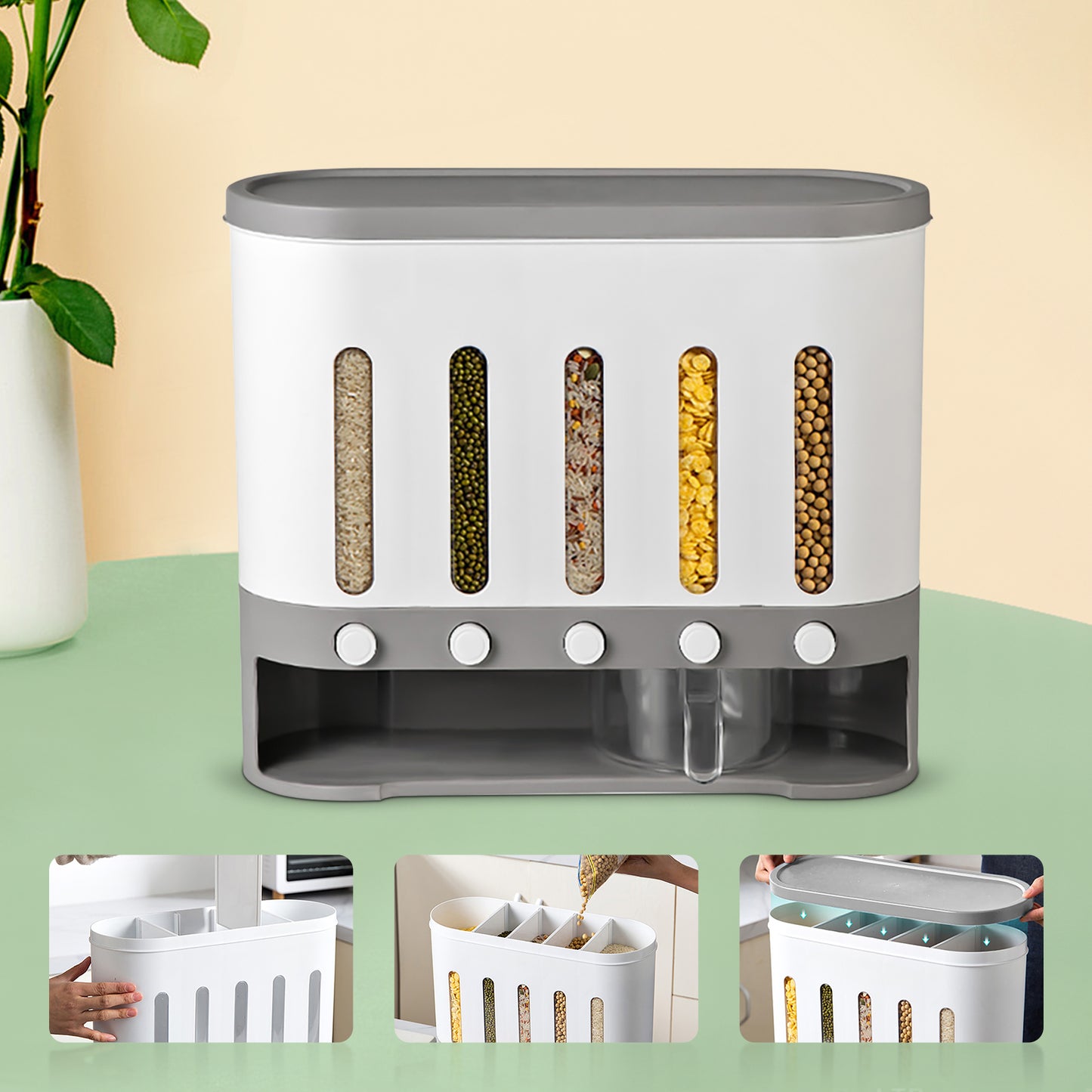 Wall Mounted Dry Food Dispenser